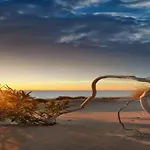 Sisyphos Каш